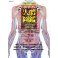 透視人體圖鑑:人體系統全彩導覽手冊,展開釐清人體奧妙的9大章之旅! 透視人體圖鑑:人體系統全彩導覽手冊,展開釐清人體奧妙的9大章之旅!
