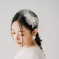 Avis -旅行輕婚紗系列