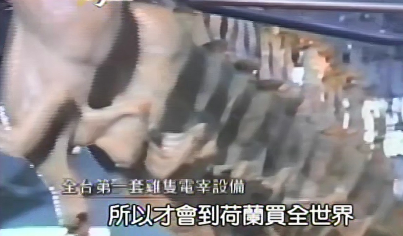 第五之一章─肉品品質始於屠宰