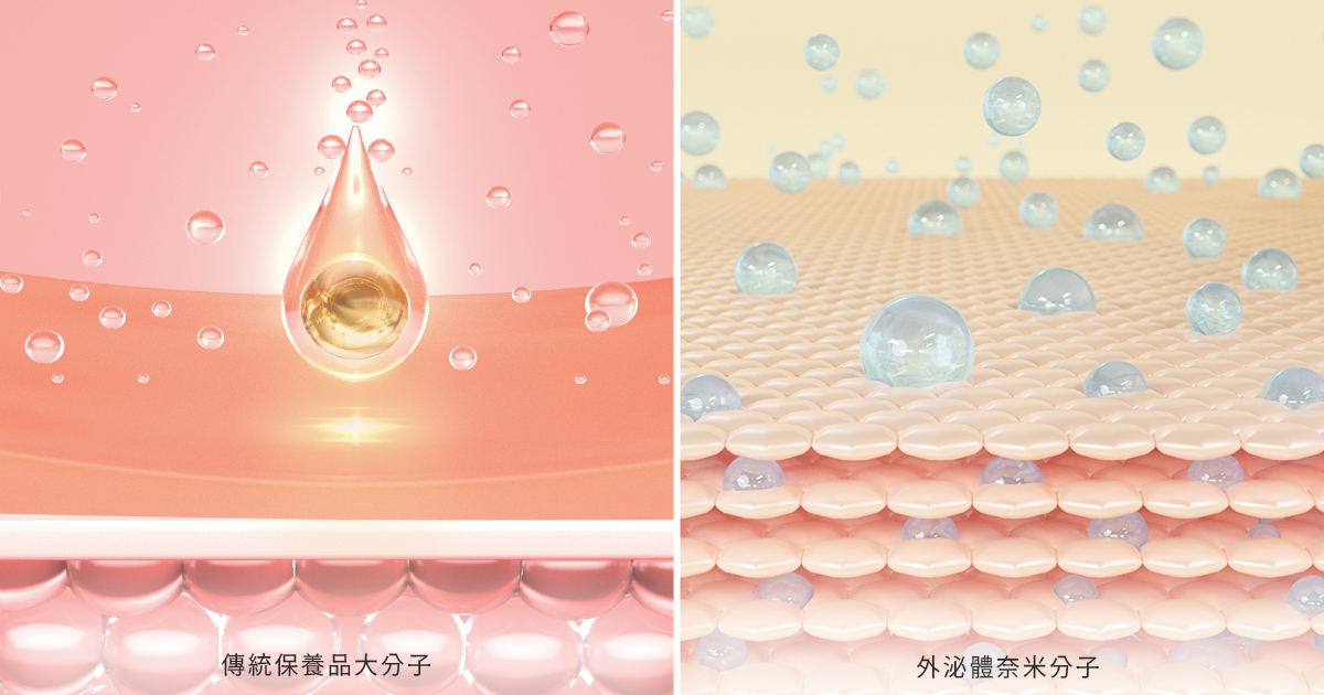 外泌體奈米分子（吸收力比較）