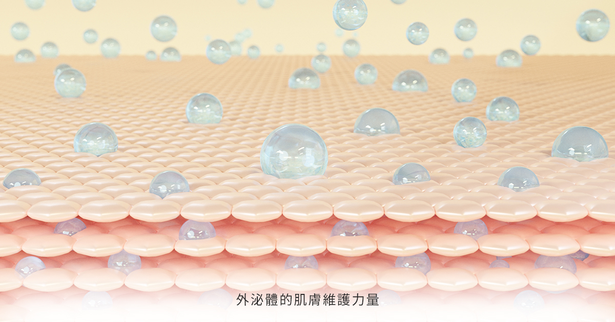 外泌體在肌膚層的作用示意圖