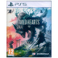 PS5 狂野之心 中文版