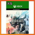 XBS 狂野之心 中文版