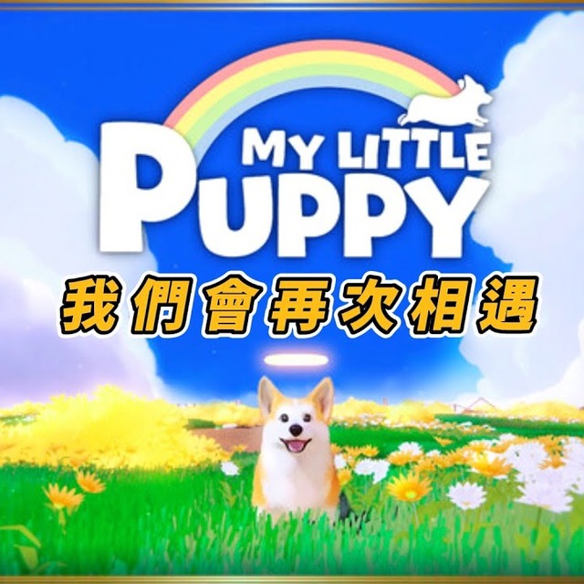 NS 我的小柯基 中文版