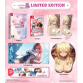 NS 愛的傳遞 & 愛在登入 中文限定版