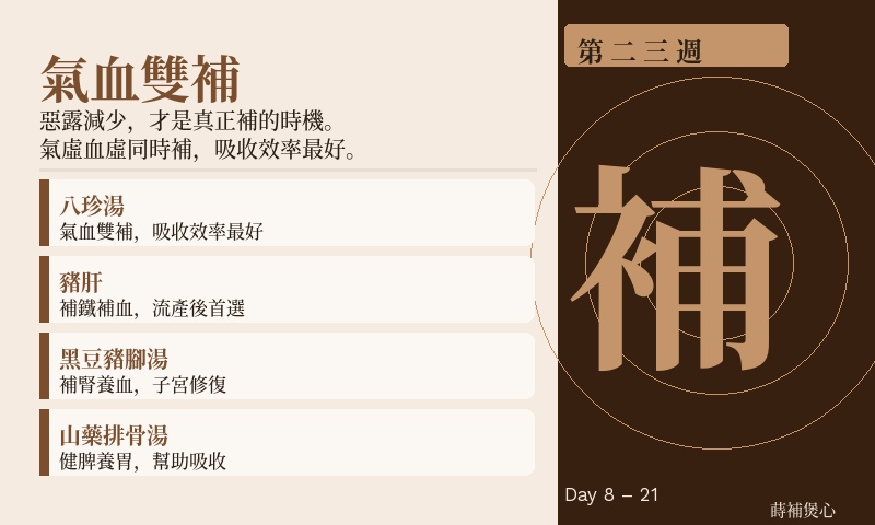 第二週｜補氣血期