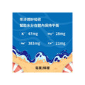 WiNSPORTS 電解質能量粉末40g(三種風味)-5