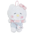 三麗鷗 x Howacoloclub 聯名絨毛吊飾，hello kitty 俯拍正面照