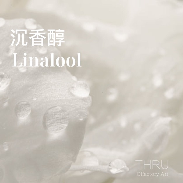 Linalool 沉香醇 芳樟醇