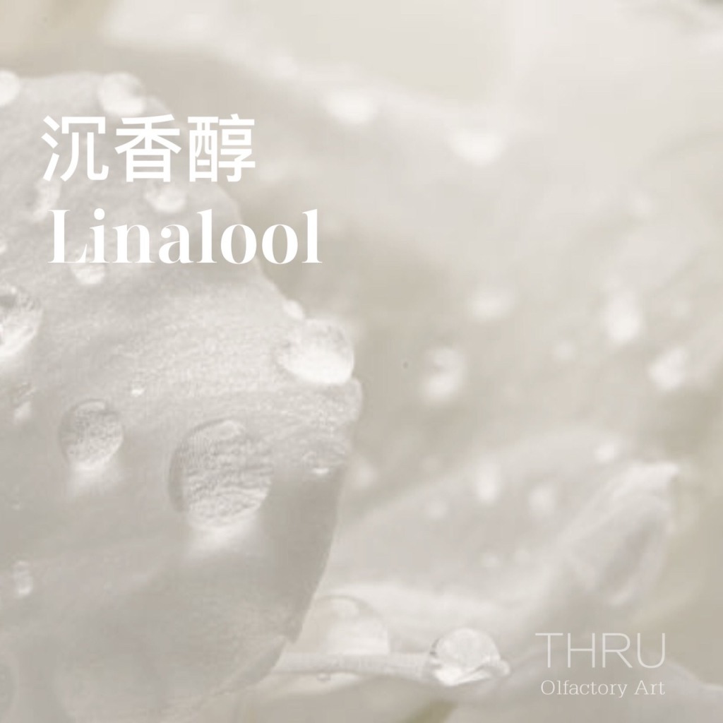 Linalool 沉香醇 芳樟醇