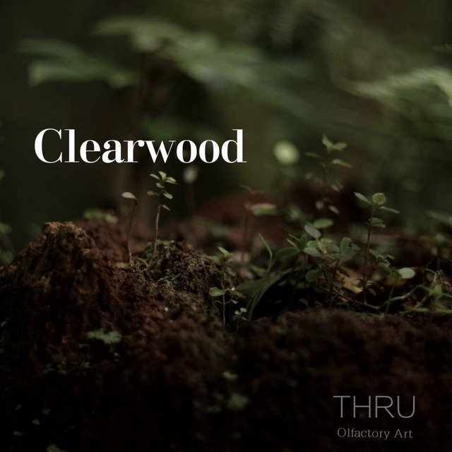 Clearwood 廣藿香輕量版