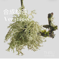 Veramoss/Evernyl橡木苔藓，柔軟的木質，酚醛，泥土味。可取代西普調,馥奇調中的橡苔。