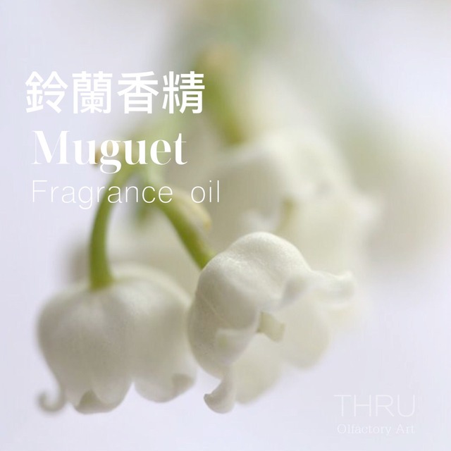 Muguet 鈴蘭 Lily of the Valley