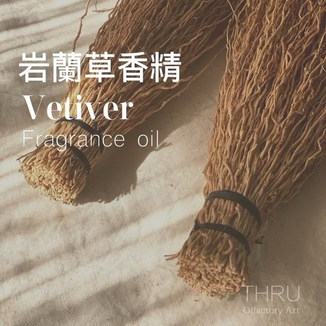 Vetiver 岩蘭草 香根草