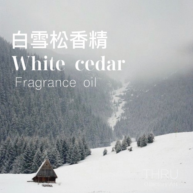 White Cedar 白雪松