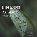 Ashitaba 明日葉 綠色調