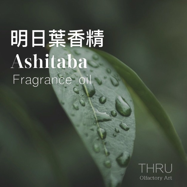 Ashitaba 明日葉