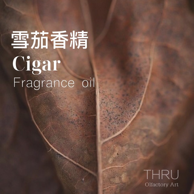 Cigar 雪茄