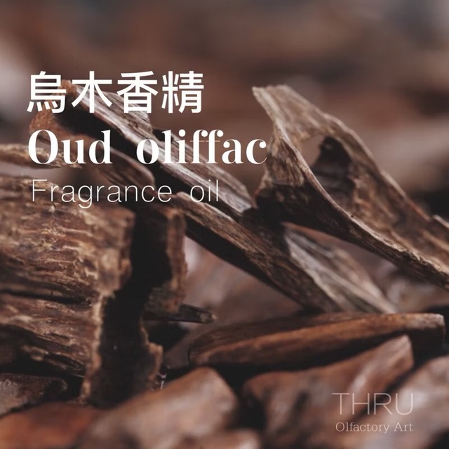 Oud oliffac 烏木 沉香
