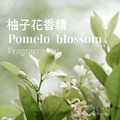 Pomelo Blossom 柚子花