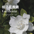Gardenia 梔子花