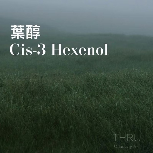 Cis-3 Hexenol 葉醇 Leaf Alcohol