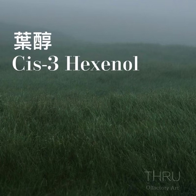 Cis-3 Hexenol 葉醇 Leaf Alcohol