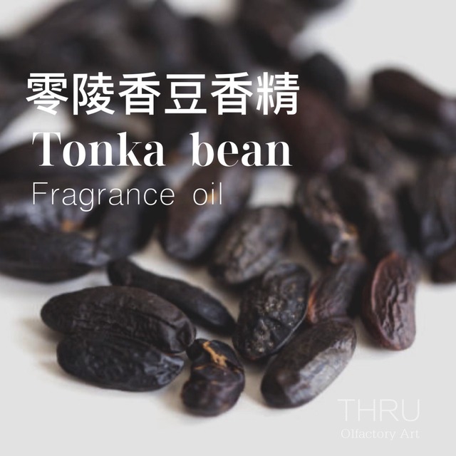 Tonka bean 零陵香豆