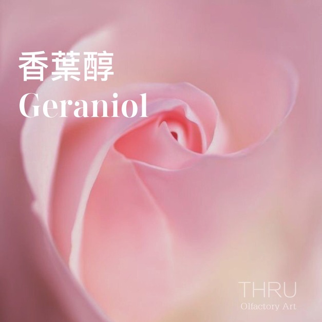 Geraniol 香葉醇