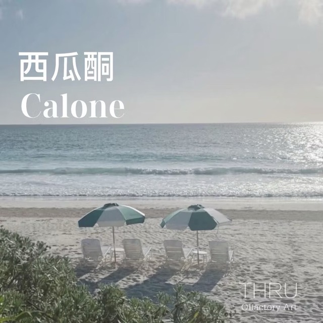 Calone 西瓜酮