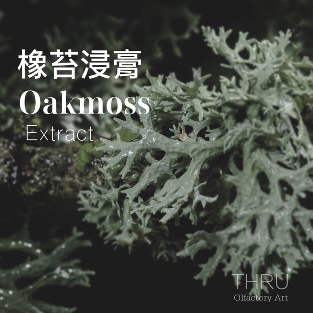 Oakmoss Resinoid 橡苔浸膏
