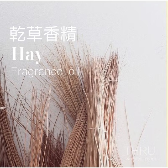 Hay 乾草