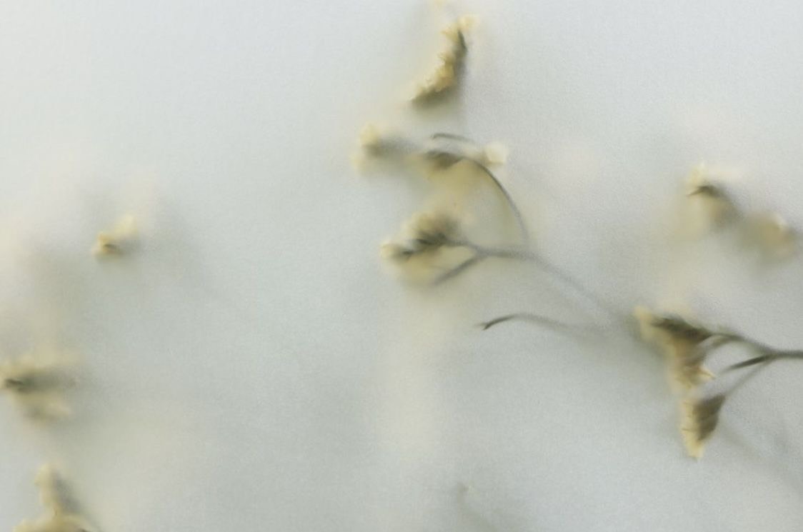 ACCORD |  BR540 accord