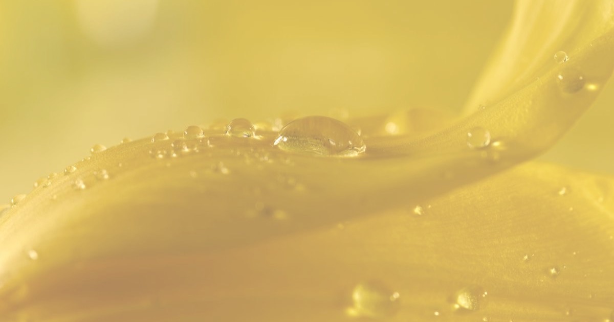 Hexyl cinnamic aldehyde 己基肉桂醛 HCA