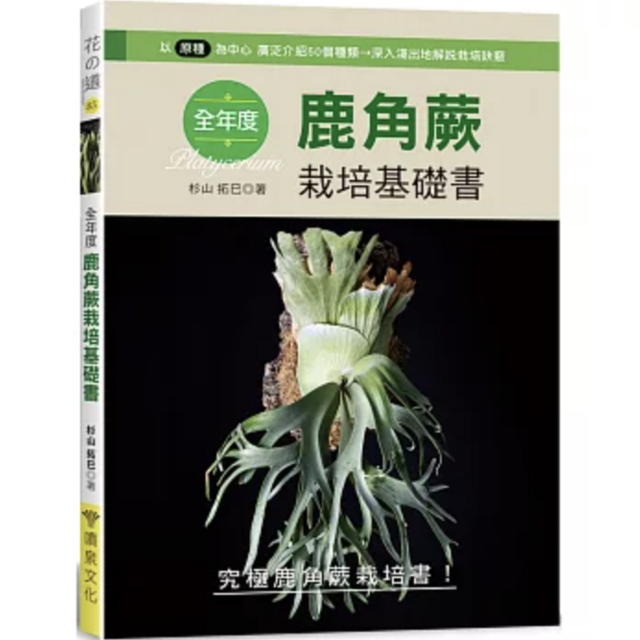 全年度鹿角蕨栽培基礎書