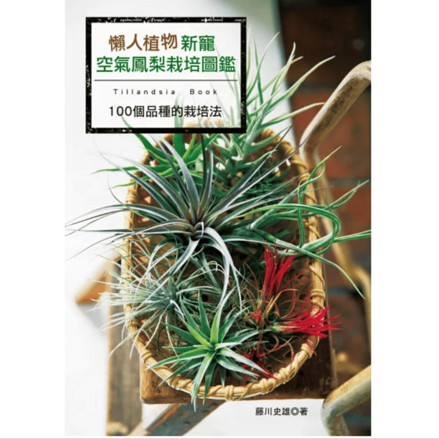 懶人植物新寵：空氣鳳梨栽培圖鑑