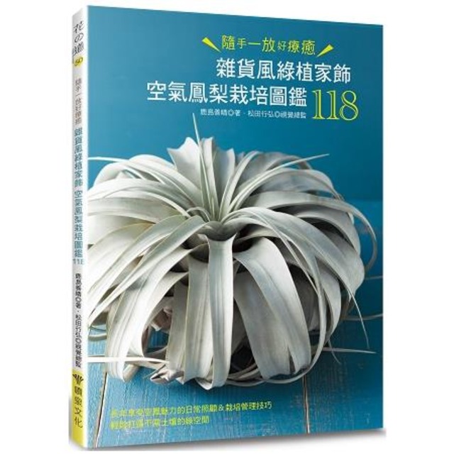 雜貨風綠植家飾：空氣鳳梨栽培圖鑑118
