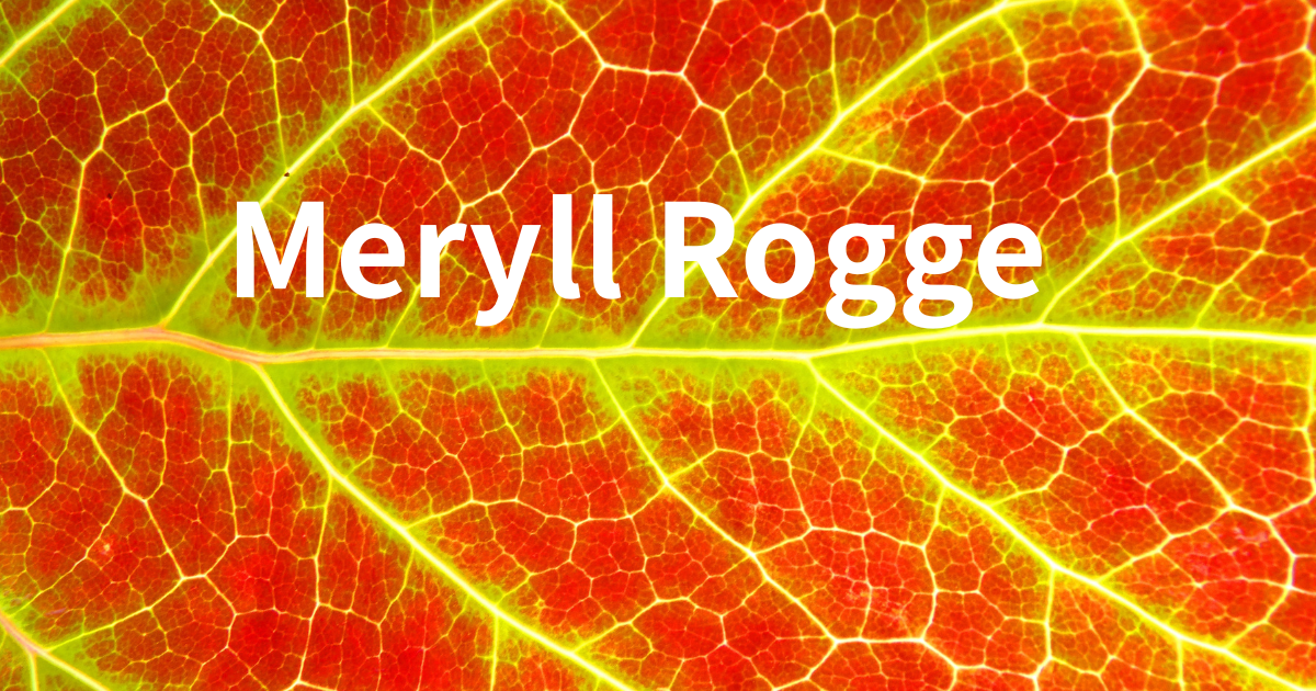 一個來自比利時的服飾精品品牌 Meryll Rogge