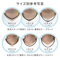 Colantotte克朗托天Tao basic neo磁石項圈-6