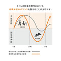 Venex美體機能腰圍-5
