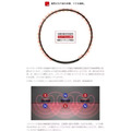 克朗托天Colantotte Tao Arie磁石項圈-3
