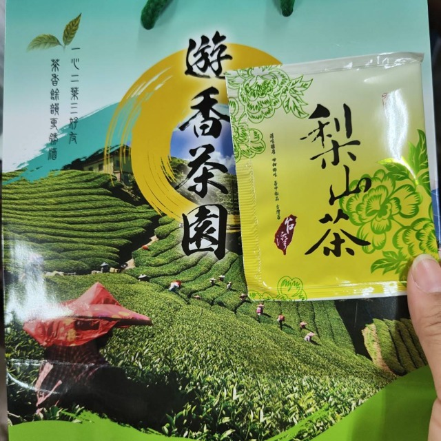 梨山遊香茶園高山茶