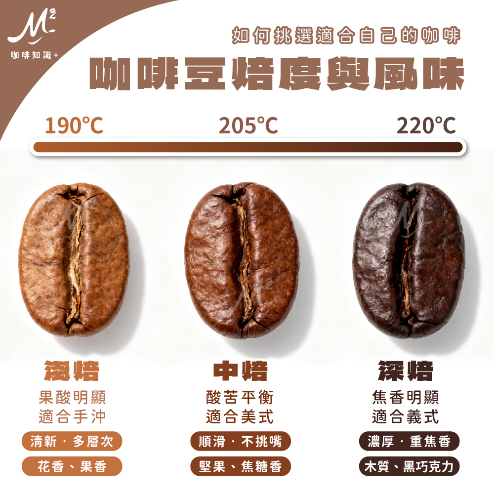 M2咖啡知識+｜咖啡豆焙度與風味