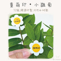 童萌印・小雛菊形狀姓名貼紙