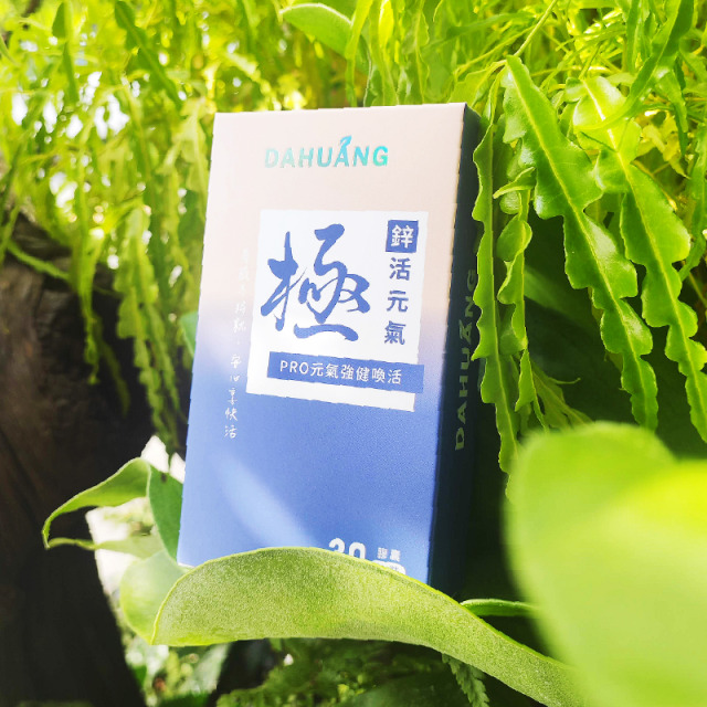 《DAHUANG大晃》鋅活元氣 30顆/盒 ‧ 南瓜子+葡萄糖酸鋅 ‧ 滋補強身 ‧ 精力充沛