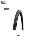 Schwalbe One TLE 全能公路無內胎