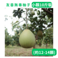 小顆友善文旦 10斤裝 (約12-14顆)-1