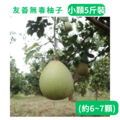 小顆友善文旦 5斤裝(約6-7顆)-1