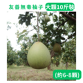 大顆友善文旦 10斤裝 (約6-8顆)-1