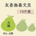 大顆友善文旦 10斤裝 (約6-8顆)